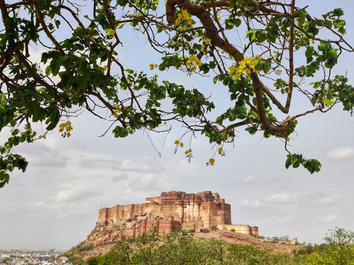 Jodhpur — Mehrangarh Fort, Jodhpur